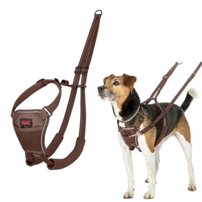 Imagen de Arnés anti tirones HALTI para evitar que tu perro tire de la correa, Ajustable, Ligero y Fácil Usar. Reflexiva Adiestramiento canino perros pequeños (Talla XS, Nogal Intenso)