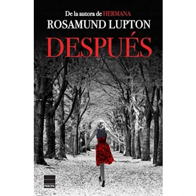 Imagen de Después (PRINCIPAL BOLSILLO)