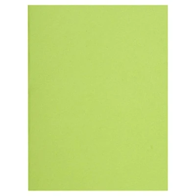 Imagen de Exacompta Flash 80 Paquete de 100 subcarpetas, 22 x 31 cm, color verde tila