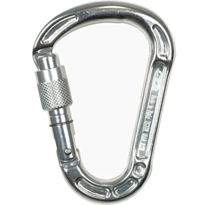 Imagen de Climbing Technology Concept SG Mosquetón, Color Gris