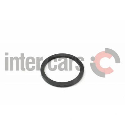 Imagen de CEI 169.776 Circlip