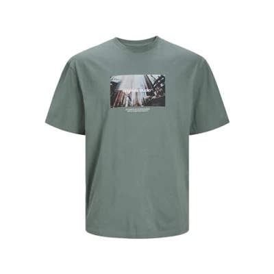 Imagen de JACK &amp; JONES Jorvesterbro Picture tee SS Crew Neck Ln Camiseta, Laurel Wreath, M para Hombre
