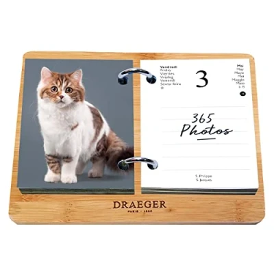 Imagen de DRAEGER PARIS Ephemeris Diary Box Yvon Gatos Enero Dic 2024 Base de bambú 365 días hojas Diario oficina 7 idiomas Papel certificado FSC®, Impreso con tintas vegetales