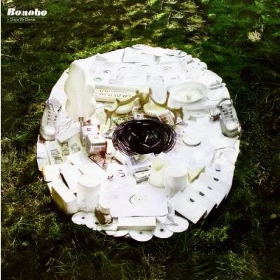 Imagen de Days to Come [Vinilo]