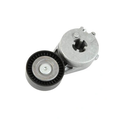 Imagen de INA 534 0333 10 Brazo tensor, correa trapecial poli V AUDI: A5 B8 Coupé, Q5, Sportback, VOLKSWAGEN: Transporter 5, Amarok Pick up