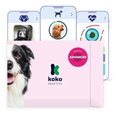 Imagen de Koko Genetics test ADN perros Advanced (+175 reportes de razas, salud y rasgos). Actualizaciones sin coste