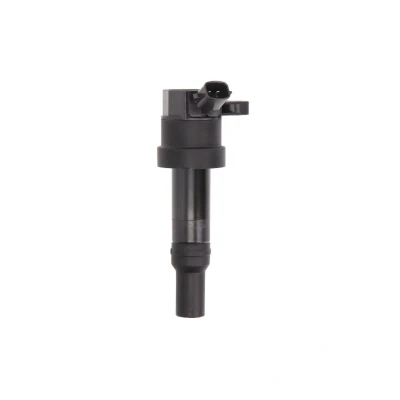 Imagen de DELPHI GN10585 12B1 Bobina de encendido 2 12