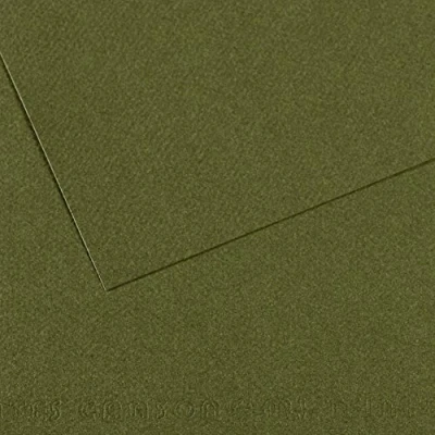 Imagen de Canson Mi Teintes Papel de Color Pulpa Teñida, 160 g/m2, Verde (Ivy 448), 29,7x62, Pack 10