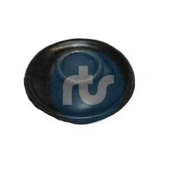 Imagen de brazo oscilante, bujes de RTS 017 00204