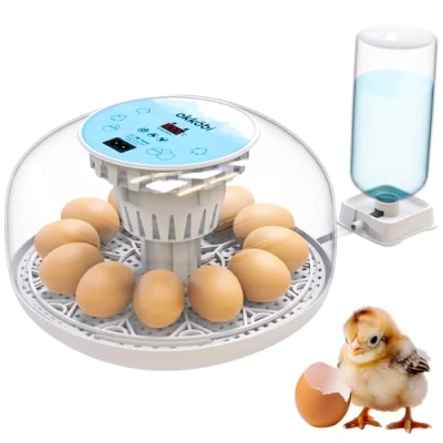 Imagen de Okkobi M12 Incubadora Huevos Gallina Automática Volteo Automático y Control de Humedad 12/24 huevos, Vista 360, fácil usar limpiar Chocadeira Ovos