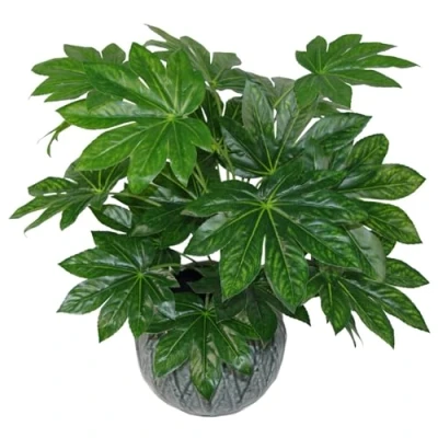 Imagen de Leaf Planta Artificial Japonesa de aralia Hoja 60 cm, Maceta plástico Negra