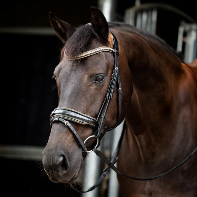 Imagen de HB Showtime Bridle Golden Dreams