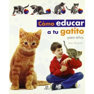 Imagen de Como educar a tu gatito para niños