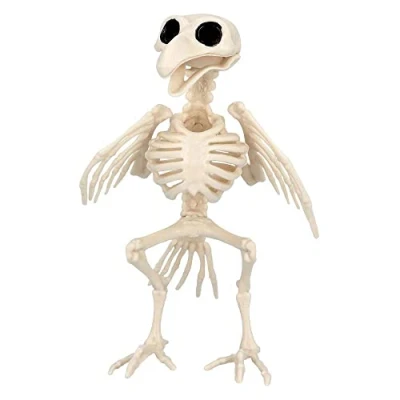 Imagen de Boland 72406 Esqueleto de pájaro 20 cm boca móvil, plástico, decoración para Halloween, carnaval o fiesta temática