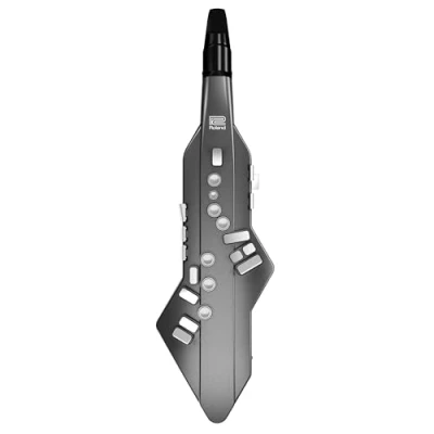 Imagen de Roland AE 05 Aerophone GO — Instrumento de viento digital con la app gratuita Plus y funda transporte flexible
