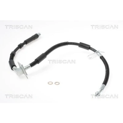 Imagen de TRISCAN 8150 17305 Latiguillos de Freno 595/310 F10x1