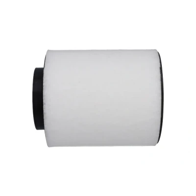 Imagen de KAVO PARTS FAF 10447 Filtro de aire 153mm Primer filtro, Cartucho filtrante AUDI: A8 D4 (4H2, 4H8, 4HC, 4HL) 4.0 TFSI quattro, 2.0 hybrid