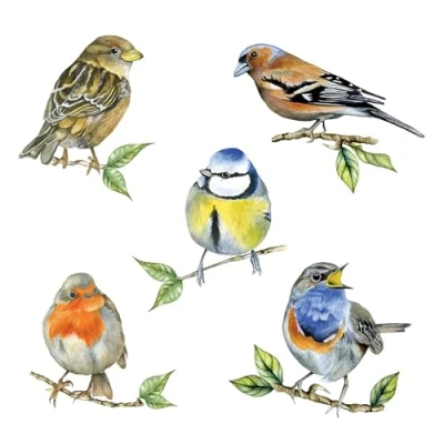 Imagen de Ambiente Servilletas de papel (20 unidades, 33 x cm), diseño pájaros