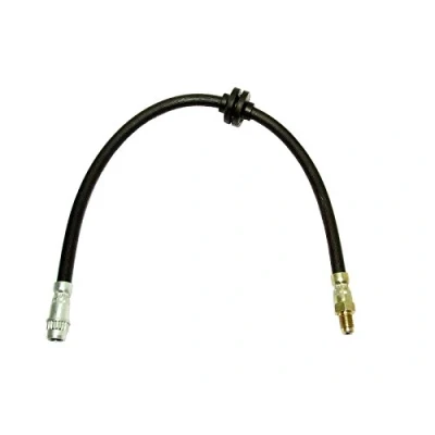 Imagen de DELPHI LH6420 Latiguillos de Freno 485 M10x1 Int SF RENAULT: CLIO 2, 3