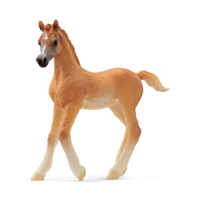 Imagen de Schleich 13984 Potro árabe, a partir de 5 años, HORSE CLUB figura, 2 x 8 cm