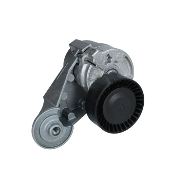 Imagen de SNR GA365.36 Polea Tensora VOLVO: S60 I, S80 XC90 I