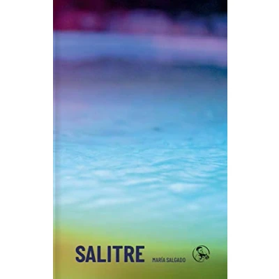 Imagen de Salitre: 17 (LIBROS INUTILES)
