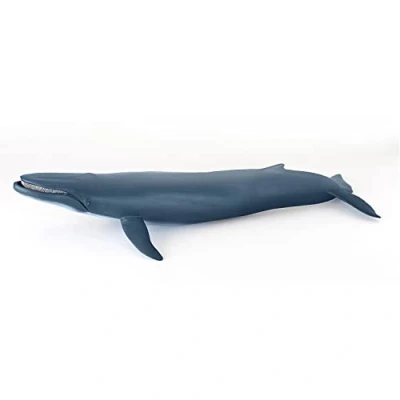 Imagen de Papo Figurita Grande Ballena, Gigante del Mar, Juguete para Niños a Partir de 3 Años Animales Marinos 38.50 cm x 17.00cm Exploración los Océanos y Conciencia la Vida Marina