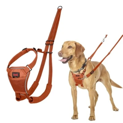 Imagen de Arnés anti tirones HALTI para evitar que tu perro tire de la correa, Ajustable, Ligero y Fácil Usar. Reflexiva Adiestramiento canino perros medianos (Talla M, Naranja Quemada)
