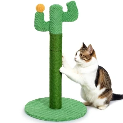 Imagen de Rascador para Gatos Cactus 60 cm Happy &amp; Polly Poste en Cuerda de Yute Natural con Base Estable Gatitos y Adultos Interiores Verde