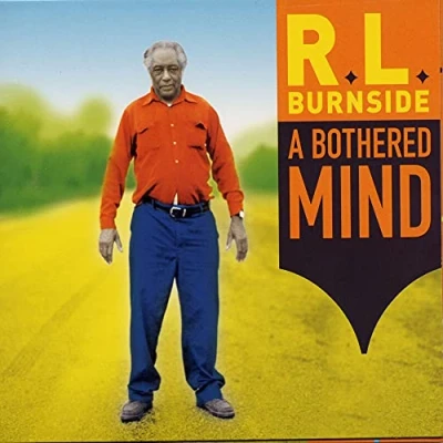 Imagen de A Bothered Mind [Vinilo]
