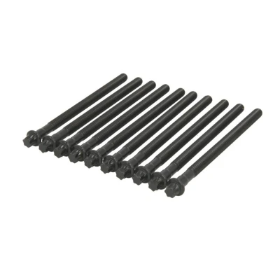 Imagen de REINZ 14 32308 01 Juego de Tornillos Culata Torx exterior BMW: 5 Berlina, X5, 6 Coupé