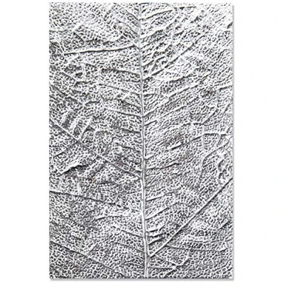 Imagen de Sizzix Carpeta de Repujado Textured Impressions 3 D 664488, Venas Hoja, Multicolor, Talla única