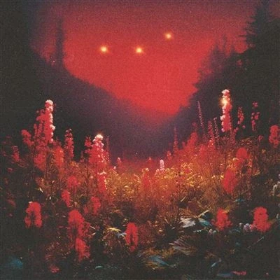 Imagen de SUPERBLOOM [Vinilo]