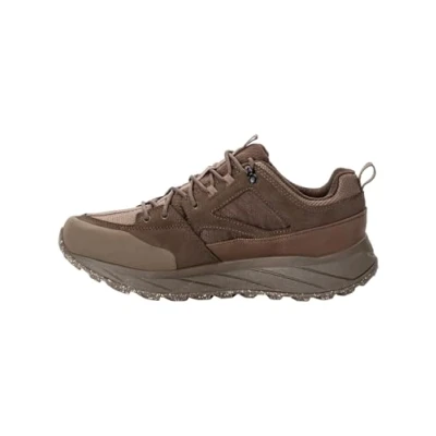 Imagen de Jack Wolfskin Terraquest Texapore Low M, Zapatos para Senderismo Hombre, diseño de Oso, 45.5 EU