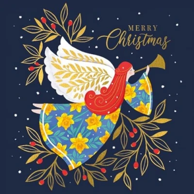 Imagen de Marie Curie Tarjetas de Navidad ángel en vuelo, paquete 10, 14 x cm, con sobres, caja troquelada, tablero 100% FSC, fabricado Reino Unido