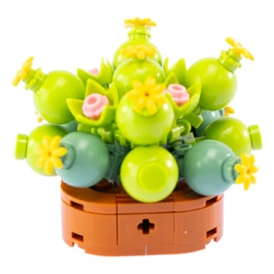 Imagen de Nice mattoncini exotic plants conophytum