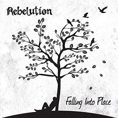 Imagen de Falling Into Place Vinilo