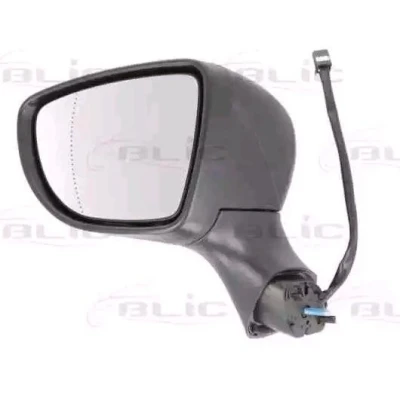 Imagen de Retrovisor exterior BLIC 5402 09 2002125P