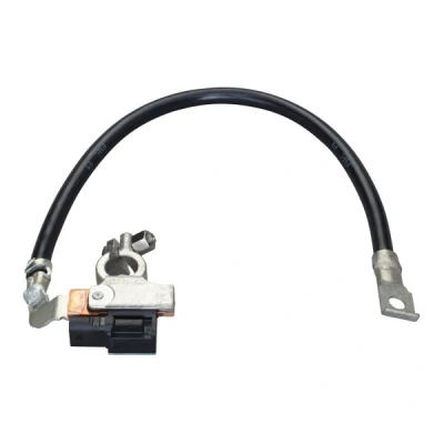 Imagen de HELLA 6PK 010 562 931 Sensor, control de batería