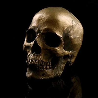Imagen de VOANZO Réplica de calavera humana retro extraíble, modelo anatómico, tamaño médico, realista 1:1