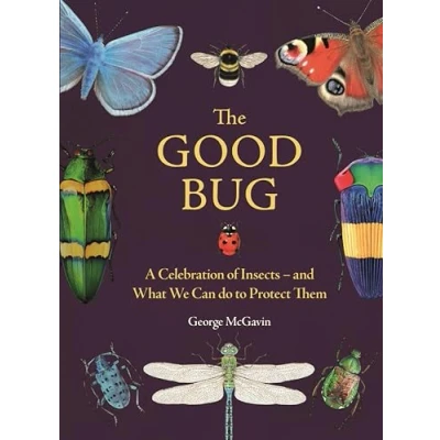 Imagen de The Good Bug