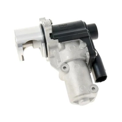 Imagen de DELPHI EG10645 12B1 Válvula EGR sin juntas, radiator