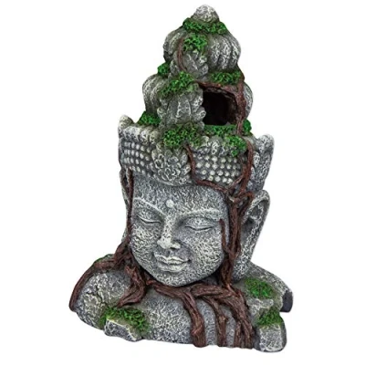 Imagen de Hobby Vishnu