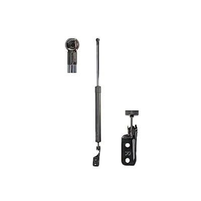 Imagen de LESJÖFORS 8162064 Amortiguador de maletero Atrás derecha NISSAN: Tiida Hatchback