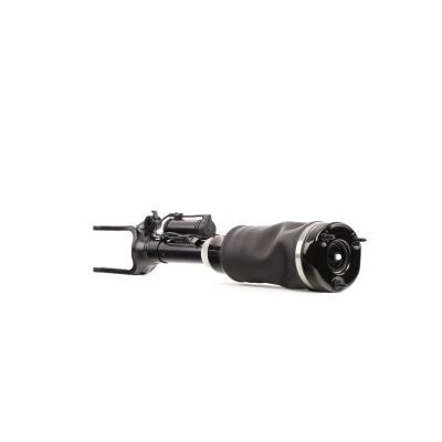 Imagen de BILSTEIN B4 OE Replacement (Air) 44 121167 Amortiguador telescópico neumático Eje delantero MERCEDES BENZ: Clase R