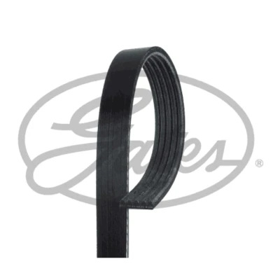 Imagen de GATES 5PK1770 Correa trapecial poli V 1770 5 Poliéster, EPDM (Ethylen Propylen Dien Caucho) RoadMax Value Line MITSUBISHI: COLT 6, SMART: Forfour I