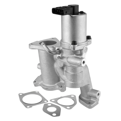 Imagen de Válvula EGR WAHLER 712020D
