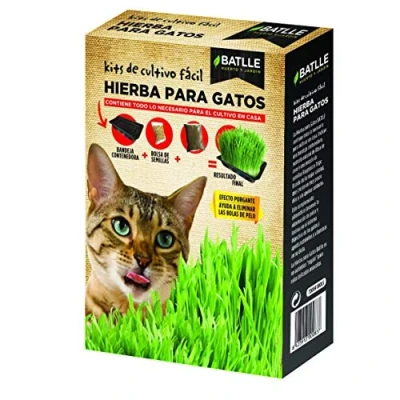 Imagen de Semillas Amomáticas Hierba para Gatos Batlle