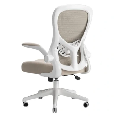 Imagen de Hbada J3 Silla de Escritorio ergonómica, Oficina con reposabrazos abatibles y Soporte Lumbar, Altura Ajustable, Gris