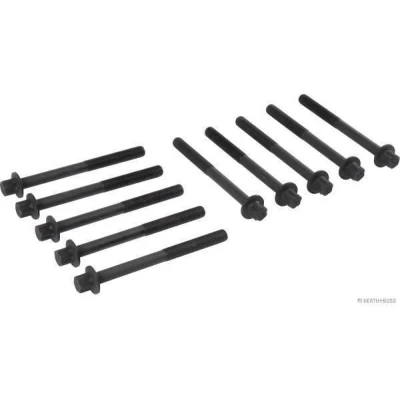 Imagen de Juego de tornillos culata HERTH+BUSS JAKOPARTS J1281055